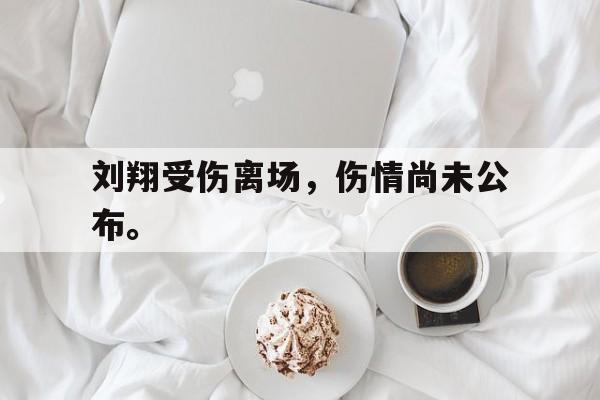 问鼎娱乐下载网页版-刘翔受伤离场，伤情尚未公布。