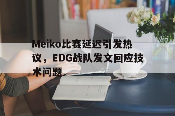 问鼎娱乐下载官网-Meiko比赛延迟引发热议，EDG战队发文回应技术问题