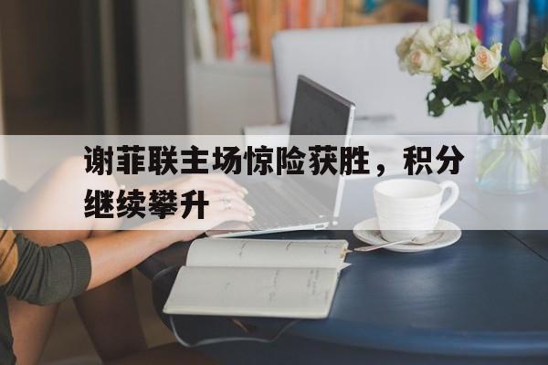 问鼎娱乐下载官网-谢菲联主场惊险获胜，积分继续攀升