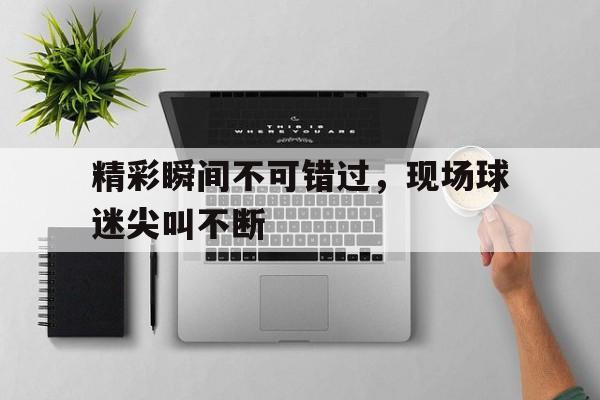 问鼎娱乐下载电脑版-精彩瞬间不可错过，现场球迷尖叫不断