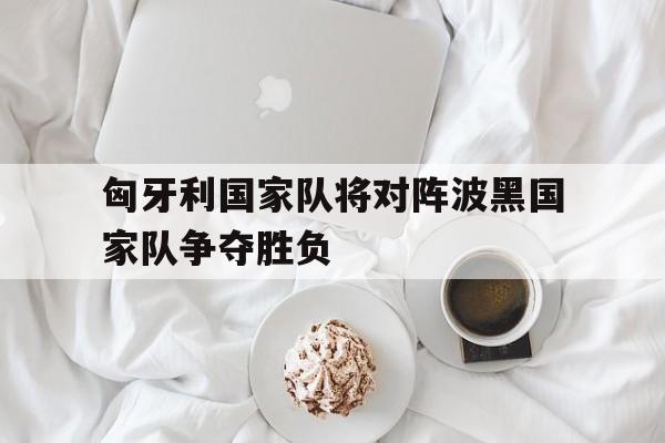 问鼎娱乐下载-匈牙利国家队将对阵波黑国家队争夺胜负