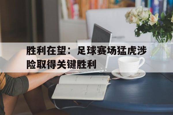 问鼎娱乐下载-胜利在望：足球赛场猛虎涉险取得关键胜利